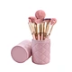 Cosmetic Brush Set